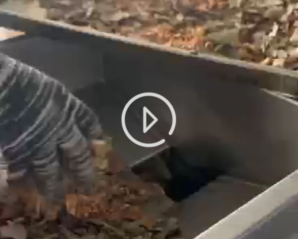 中藥粉碎機(jī)工作現(xiàn)場