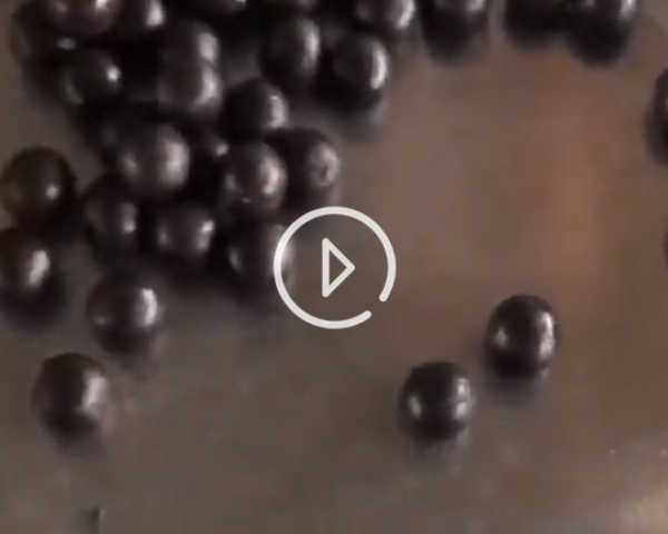 全自動大蜜丸機(jī)工作現(xiàn)場