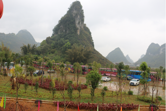 千姿百色萬人游大型旅游團到靖西游覽